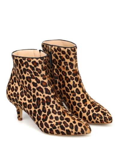 Shop Polly Plume Janis Haircalf Ankle Boots In Animal Print