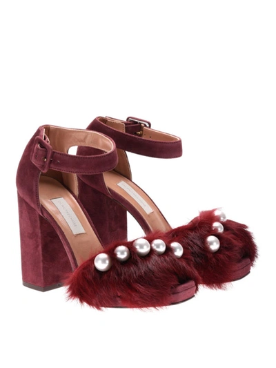 Shop L'autre Chose Lapin Fur And Pearls Suede Sandals In Dark Red