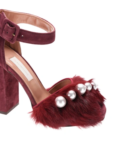 Shop L'autre Chose Lapin Fur And Pearls Suede Sandals In Dark Red