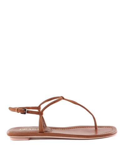 Shop Prada Suede Flat Thong Sandals In Light Brown