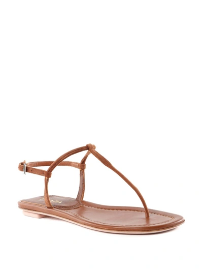 Shop Prada Suede Flat Thong Sandals In Light Brown