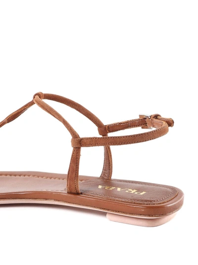 Shop Prada Suede Flat Thong Sandals In Light Brown