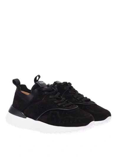 Shop Tod's Black Drilled Suede Sneakers