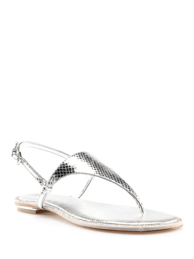 Shop Michael Kors Enid Silver Reptile Leather Thong Sandals