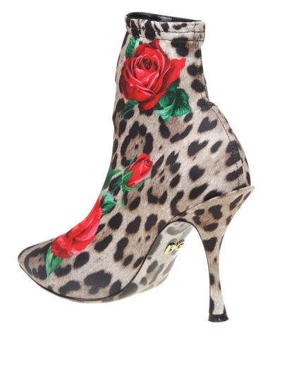 Shop Dolce & Gabbana Lori Leopard Print Ankle Boots In Animal Print