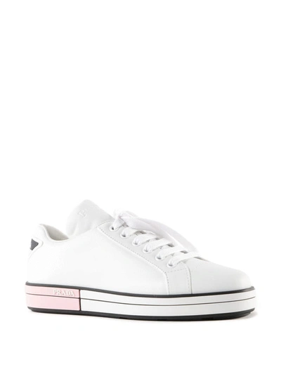 Shop Prada White And Pink Sole Leather Sneakers