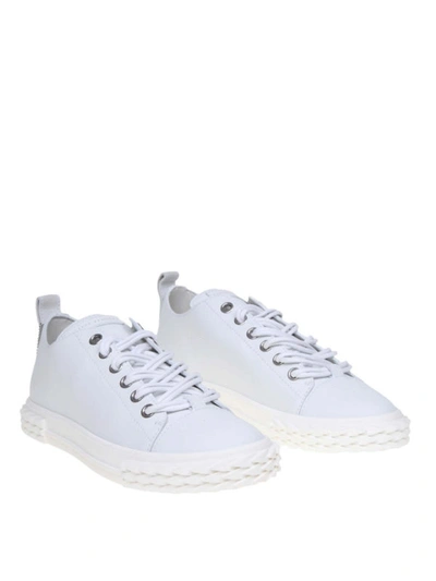 Shop Giuseppe Zanotti Blabber Leather Sneakers In White