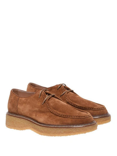 Shop Tod's Suede Low Top Lace-up Shoes In Brown
