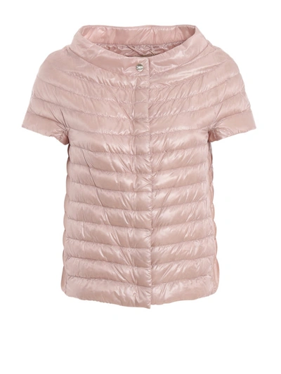 Shop Herno Margherita Nylon Puffer Jacket In Pink