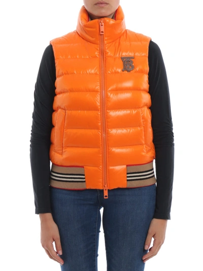 Shop Burberry Hessle Orange Padded Vest