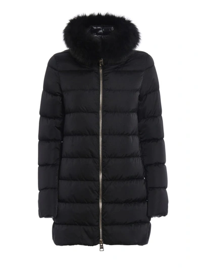 Shop Herno Detachable Fur Collar Padded Coat In Black