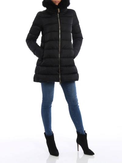 Shop Herno Detachable Fur Collar Padded Coat In Black