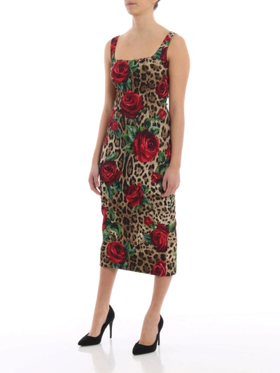 Shop Dolce & Gabbana Animal Print And Rose Viscose Pencil Dress