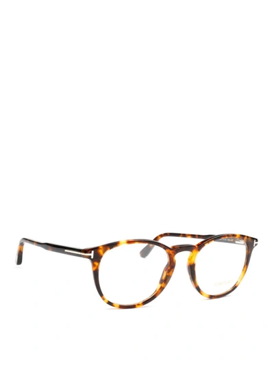 Shop Tom Ford Light Tortoise Round Eyeglasses In Light Brown