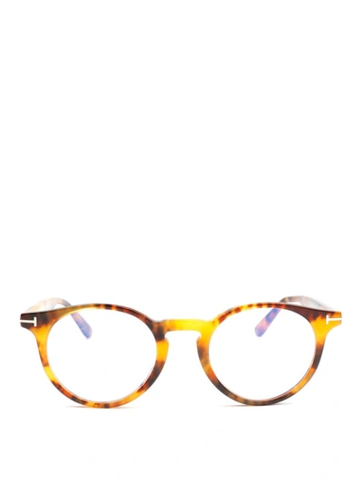 Shop Tom Ford Tortoise Round Glasses In Light Brown