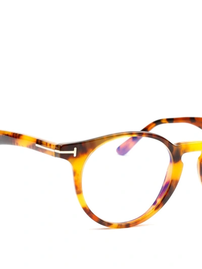 Shop Tom Ford Tortoise Round Glasses In Light Brown