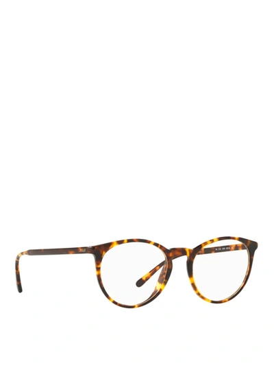 Shop Polo Ralph Lauren Light Havana Optical Glasses In Light Brown