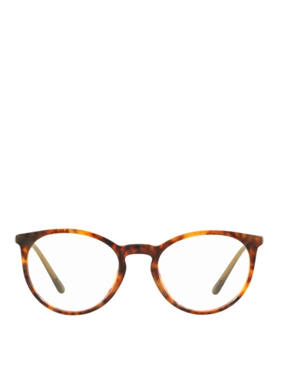 Shop Polo Ralph Lauren Tortoiseshell Optical Glasses In Light Brown