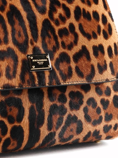 Shop Dolce & Gabbana Sicily Leo Haircalf Medium Bag In Animal Print