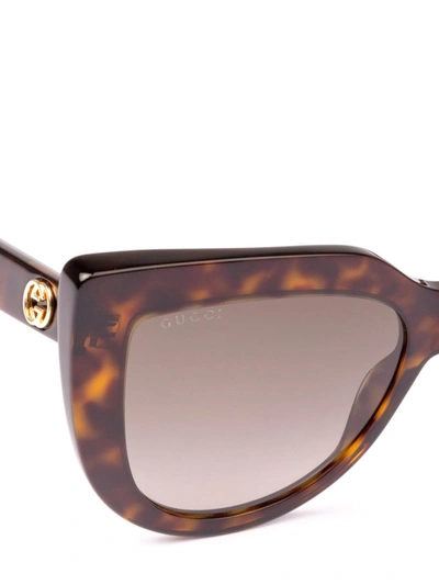 Shop Gucci Dark Havana Cat Eye Sunglasses In Brown