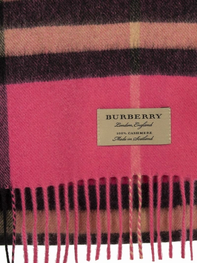 Shop Burberry Fuchsia Cashmere Scarf