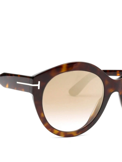 Shop Tom Ford Rosanna Sunglasses In Brown