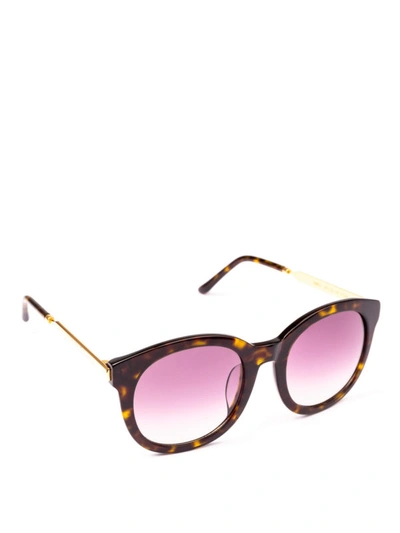 Shop Spektre Isabel 2 Tortoise Sunglasses In Brown