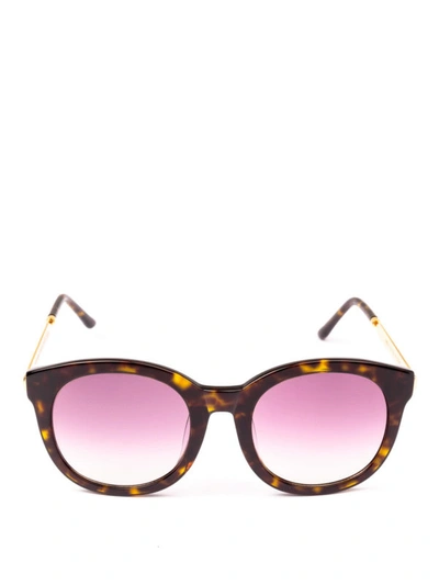 Shop Spektre Isabel 2 Tortoise Sunglasses In Brown