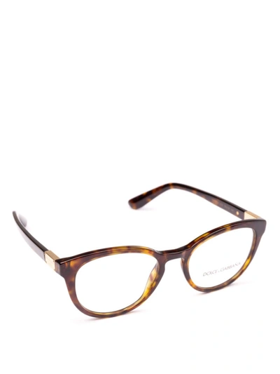 Shop Dolce & Gabbana Tortoise Acetate Pantos Optical Glasses In Brown