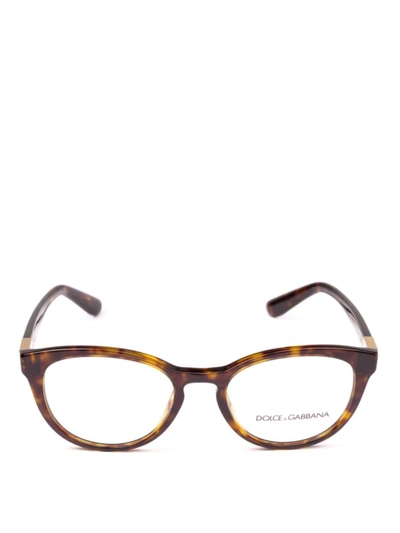 Shop Dolce & Gabbana Tortoise Acetate Pantos Optical Glasses In Brown