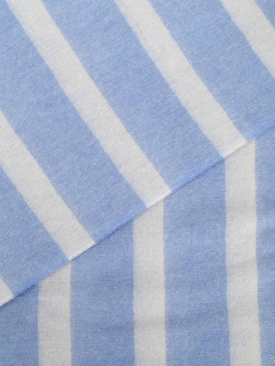 Shop Weekend Max Mara Paglia Striped Cashmere Scarf In Light Blue