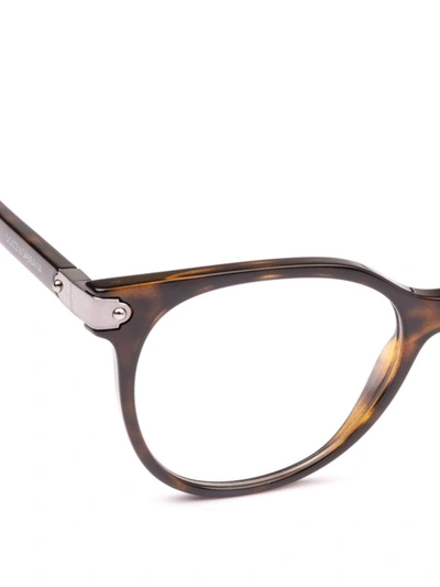 Shop Dolce & Gabbana Havana Butterfly Optical Glasses In Brown