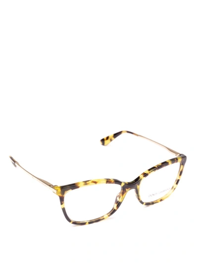 Shop Dolce & Gabbana Havana Eyeglasses With Gold-tone Temples In Yellow