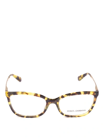 Shop Dolce & Gabbana Havana Eyeglasses With Gold-tone Temples In Yellow