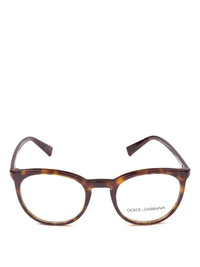 Shop Dolce & Gabbana Tortoise Pantos Optical Glasses In Brown