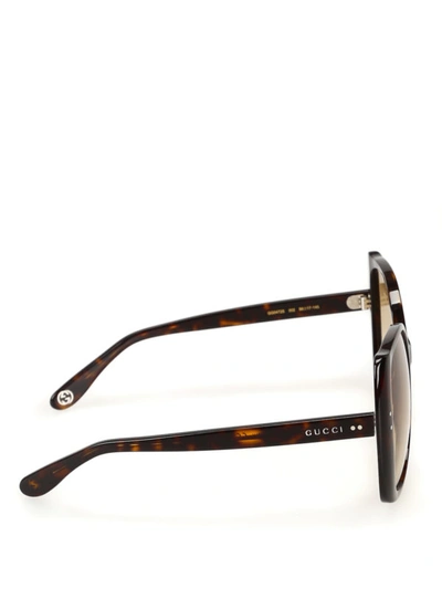 Shop Gucci Tortoise Oversized Sunglasses In Dark Brown
