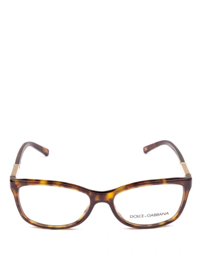 Shop Dolce & Gabbana Logo Plaque Detailed Tortoise Optical Glasses In Brown