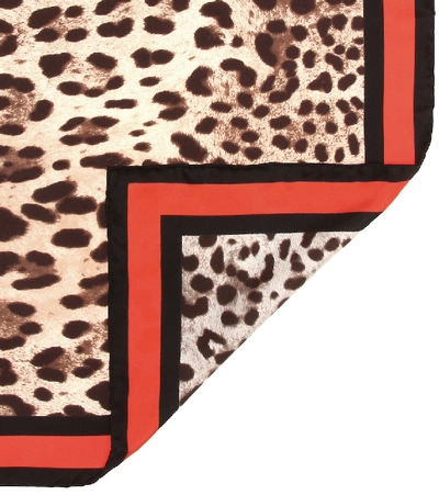 Shop Dolce & Gabbana Leopard-print Silk Scarf In Brown