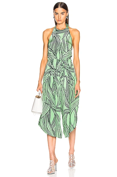 Shop Tibi Zebra Print Halter Jumpsuit In Mint Multi