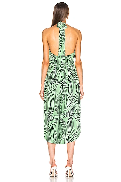 Shop Tibi Zebra Print Halter Jumpsuit In Mint Multi