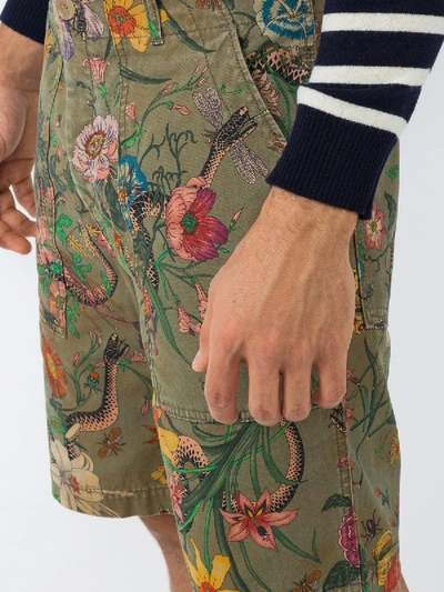 Shop Gucci Flora Snake Print Cotton Shorts In Multicolor