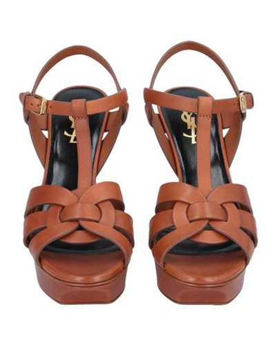 Shop Saint Laurent Woman Sandals Brown Size 5 Soft Leather