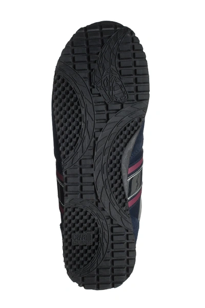 Shop Roberto Cavalli Cavalli Lace-up Retro Sneaker In Black