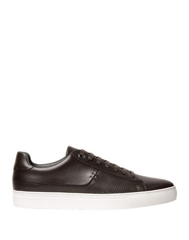 boss shoe laces
