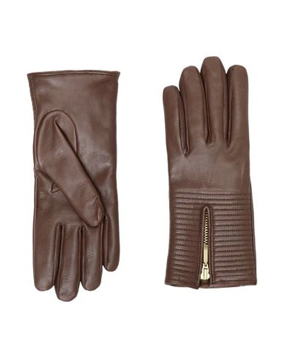 Shop 8 By Yoox Gloves In Dark Brown