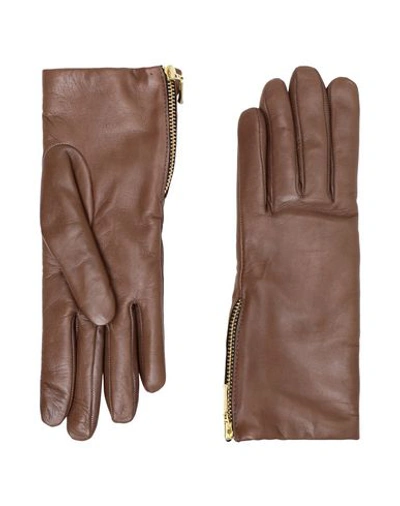Shop 8 By Yoox Gloves In Dark Brown