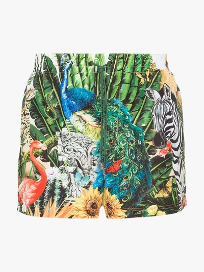 Shop Dolce & Gabbana Giardino Animal Print Swimming Shorts In Hhih3 Multi