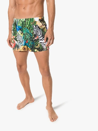 Shop Dolce & Gabbana Giardino Animal Print Swimming Shorts In Hhih3 Multi