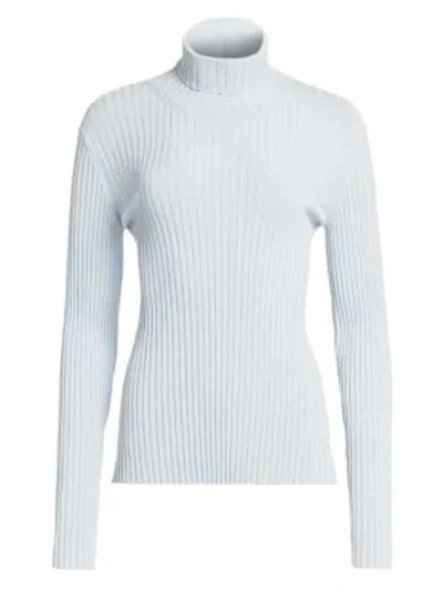 Shop Proenza Schouler Women's Ribbed Turtleneck Sweater In Pale