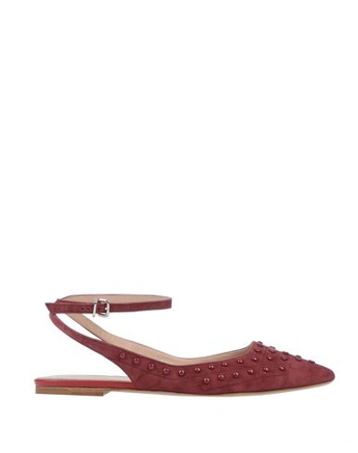 Shop Tod's Woman Ballet Flats Garnet Size 7.5 Goat Skin In Red